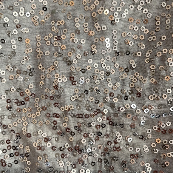 LYNN Ritchie Silver Sequins Sleeveless Tank / Blouse Size Small - Picture 6 of 9